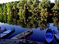 adda (10)